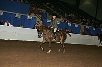 r12_05__0883 thumbnail