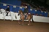 r12_05__0886 thumbnail