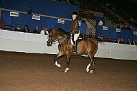 r12_05__0888 thumbnail