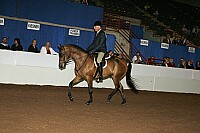 r12_05__0889 thumbnail