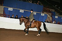 r12_05__0893 thumbnail