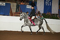 r12_05__0896 thumbnail