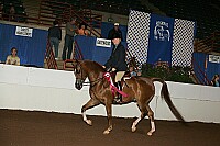 r12_05__0897 thumbnail