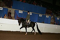 r12_05__0777 thumbnail