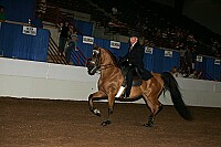 r12_05__0457 thumbnail
