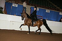 r12_05__0733 thumbnail