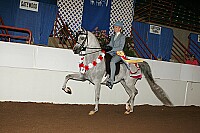 r12_05__0738 thumbnail