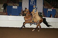 r12_05__0851 thumbnail