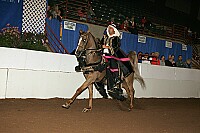 r12_05__0857 thumbnail