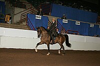 r12_05__0867 thumbnail
