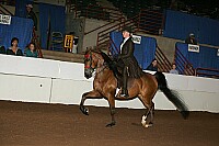 r12_05__0868 thumbnail