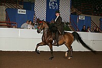 r12_05__0874 thumbnail