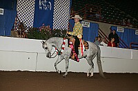 r12_05__0934 thumbnail
