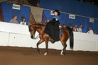 r12_05__0962 thumbnail