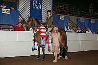 r12_05__0992 thumbnail