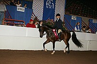r12_05__0995 thumbnail