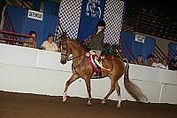 r12_05__1112 thumbnail