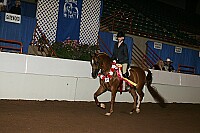 r12_05__1132 thumbnail
