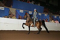 r12_05__1391 thumbnail
