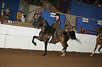 r12_05__1393 thumbnail