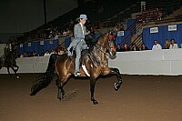 r12_05__1402 thumbnail