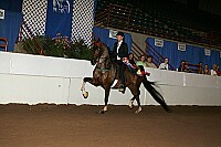 r12_05__1626 thumbnail