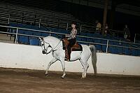 r7_05__0239 thumbnail