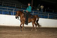 r7_05__0241 thumbnail