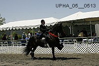 upha_05__0513 thumbnail