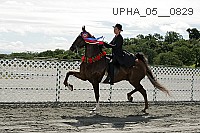 upha_05__0829 thumbnail