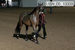 usn_05_10009 thumbnail