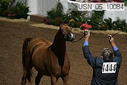 usn_05_10084 thumbnail