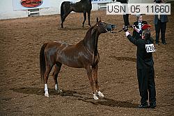 usn_05_11660 thumbnail