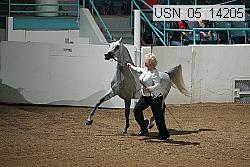 usn_05_14205 thumbnail