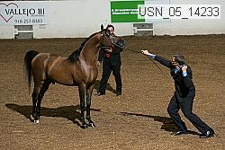 usn_05_14233 thumbnail