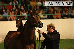 usn_05_31348 thumbnail