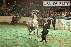 usn_05_31420 thumbnail