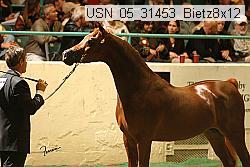 usn_05_31453_bietz8x12 thumbnail