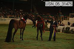 usn_05_31475 thumbnail