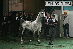 usn_05_31654 thumbnail