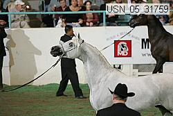 usn_05_31759 thumbnail