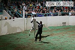 usn_05_31765 thumbnail
