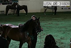 usn_05_31809 thumbnail