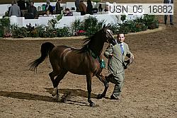 usn_05_16882 thumbnail