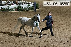usn_05_16890 thumbnail