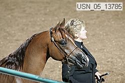 usn_05_13785 thumbnail