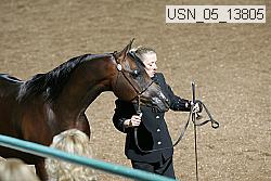 usn_05_13805 thumbnail