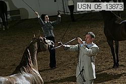 usn_05_13873 thumbnail