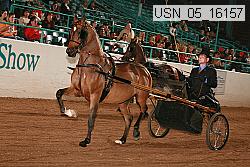 usn_05_16157 thumbnail