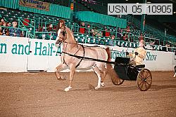 usn_05_10905 thumbnail